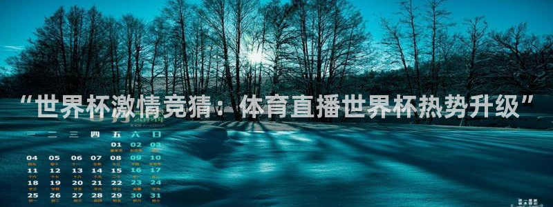 说球帝体育直播免费：“世界杯激情竞猜：体育直播世界杯热势升级”