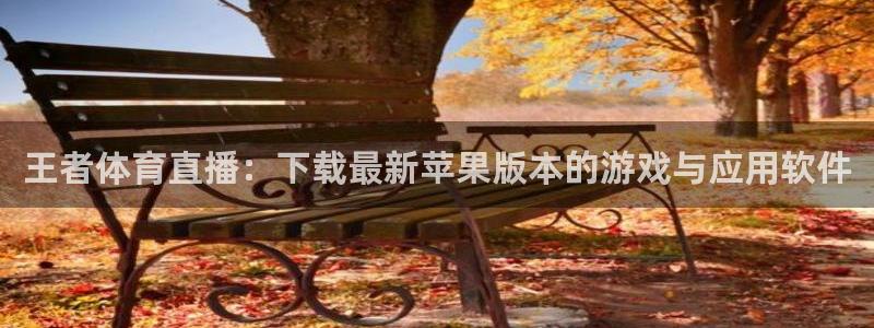 说球帝nba直播在线观看：王者体育直播：下载最新苹果版本的游戏与应用软件