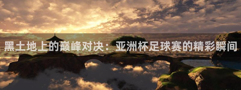 nba直播说球帝在线观看免费：黑土地上的巅峰对决：亚洲杯足球赛的精彩瞬间