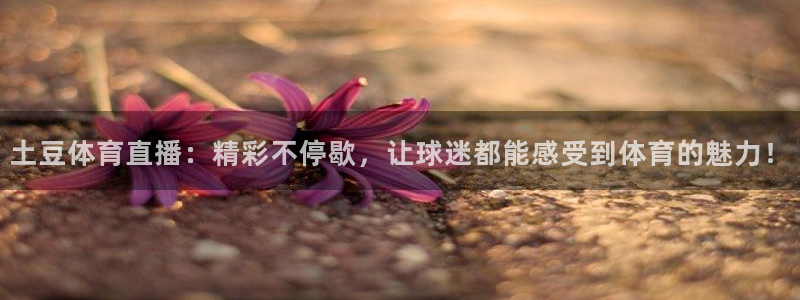 wnba直播免费观看说球帝：土豆体育直播：精彩不停歇，让球迷都能感受到体育的魅力！