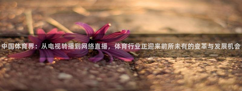 说球帝篮球直播：中国体育界：从电视转播到网络直播，体育行业正迎来前所未有的变革与发展机会