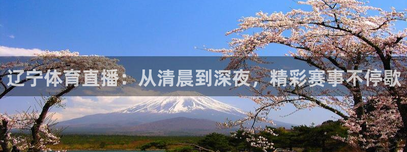 nba在线直播免费观看直播说球帝：辽宁体育直播：从清晨到深夜，精彩赛事不停歇