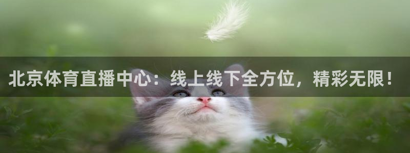 说球帝nba直播在线观看免费：北京体育直播中心：线上线下全方位，精彩无限！