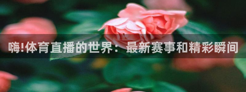 nba直播说球帝在线观看免费：嗨!体育直播的世界：最新赛事和精彩瞬间