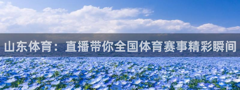 说球帝免费观看篮球直播：山东体育：直播带你全国体育赛事精彩瞬间