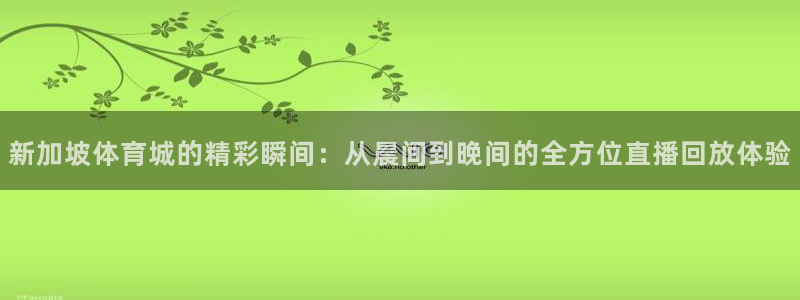 说球帝体育直播官网：新加坡体育城的精彩瞬间：从晨间到晚间的全方位直播回放体验